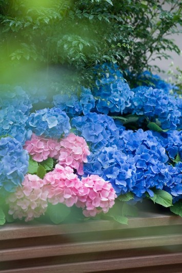 lovelasury0001